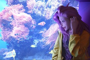 游戏攻略奇葩解说大全，奇葩游戏测评